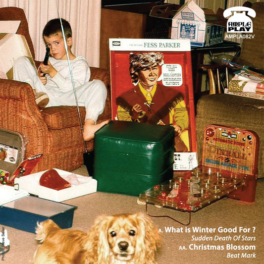 Winter Warmer Split 7" Vinyl Christmas Single: Sudden Death of Stars / Beat Mark